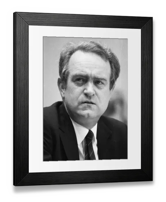 Framed Print : Election Party Congress of the SPD on 09 Framed Print : Election Party Congress of the SPD on 09