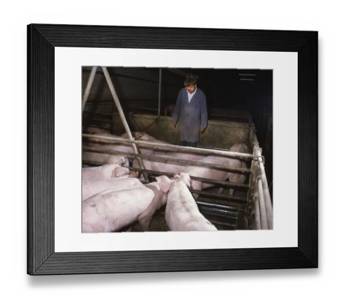 Framed Print : DEU, Germany: The historical slides from the times 84-85 r years