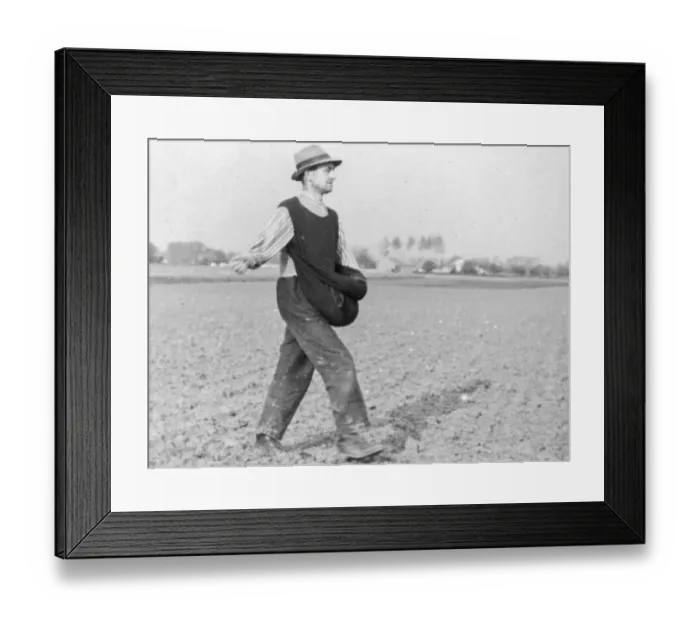 Framed Print : Old historical photograph showing farmer