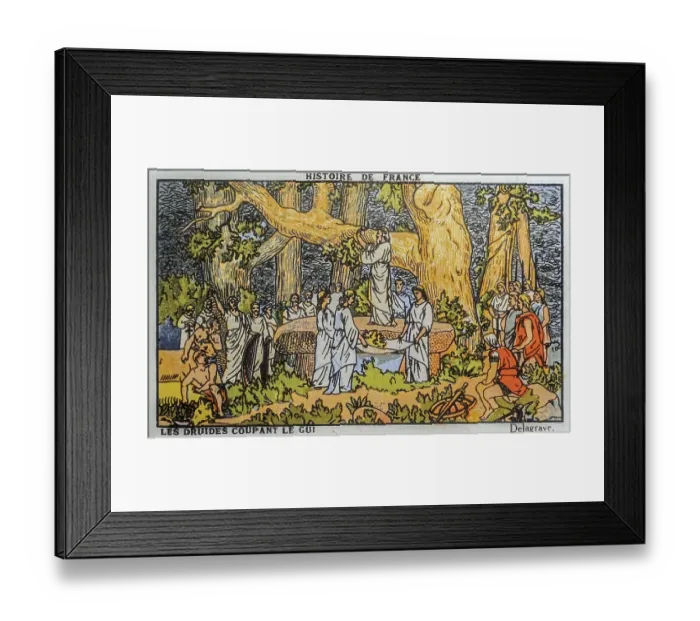 Framed Print : 1910 vintage vignette, sticker from Cardon Chocolates showing Gaul druids cutting mistletoe