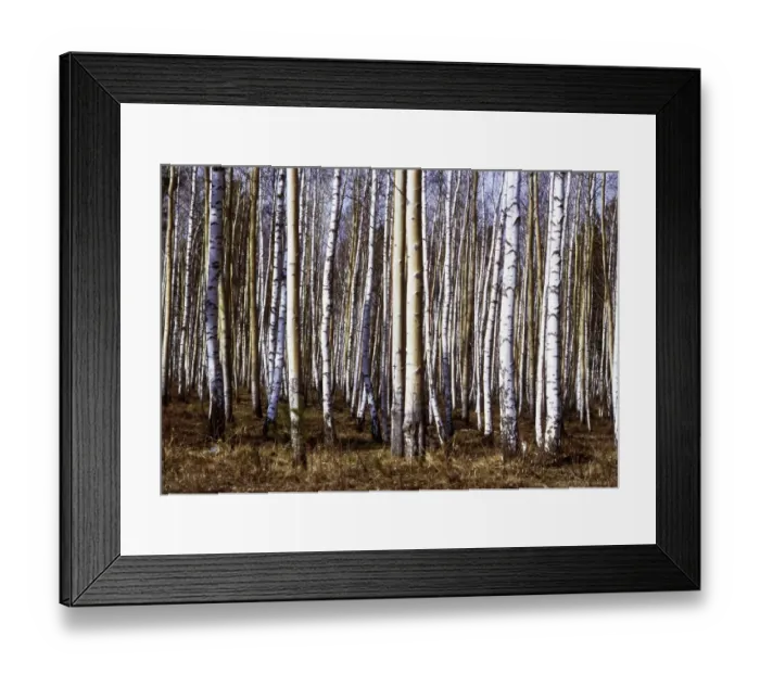 Framed Print : RUS, Soviet Union, Moscow: Imprwessions from the USSR 1972
