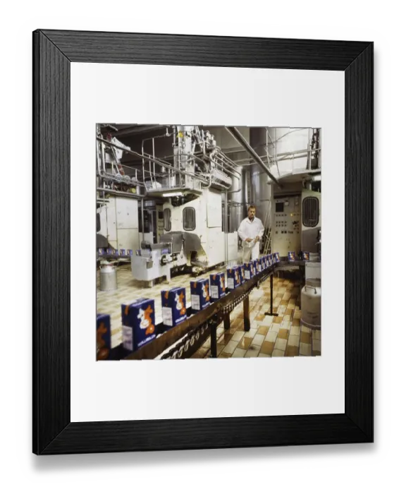 Framed Print : DEU, Germany: The historical slides from the 84-85 r years Framed Print : DEU, Germany: The historical slides from the 84-85 r years