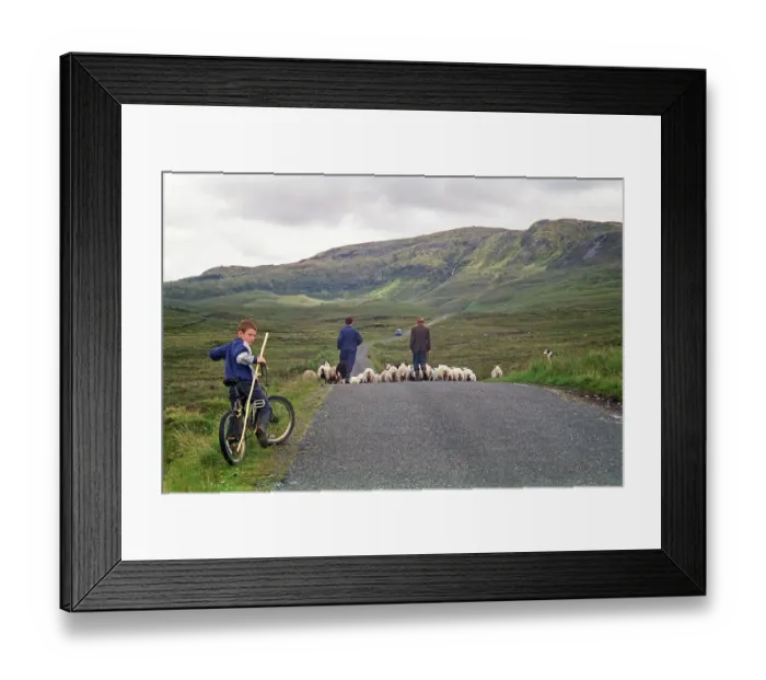 Framed Print : Sheep on the road, farmer, farmer Framed Print : Sheep on the road, farmer, farmer
