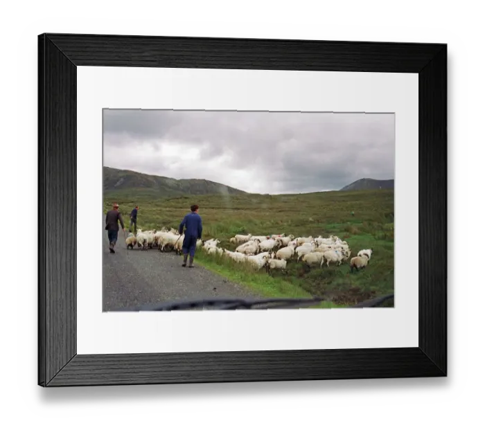 Framed Print : Sheep on the road, farmer, farmer's sons