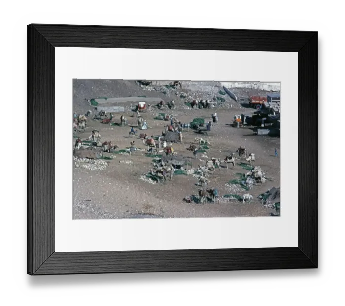 Framed Print : Caravanserai at Mena House Hotel