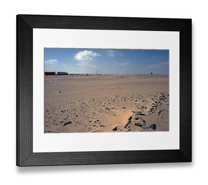 Framed Print : Petrified wood, Rotel Tours coach Framed Print : Petrified wood, Rotel Tours coach