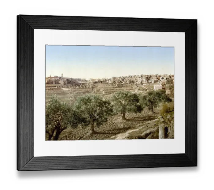 Framed Print : General view of the well of David Framed Print : General view of the well of David