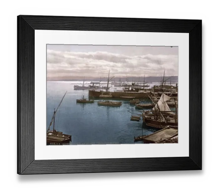 Framed Print : Harbour by moonlight, Algiers, Algeria Framed Print : Harbour by moonlight, Algiers, Algeria