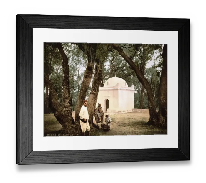 Framed Print : The sacred forest near Blidah in Algeria Framed Print : The sacred forest near Blidah in Algeria