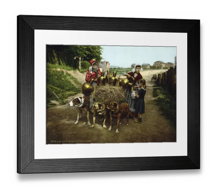Framed Print : Milk seller with a cart pulled by dogs Framed Print : Milk seller with a cart pulled by dogs