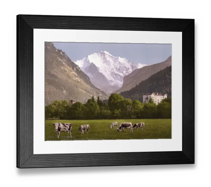 Framed Print : Jungfrau und Jungfraublick Hotel