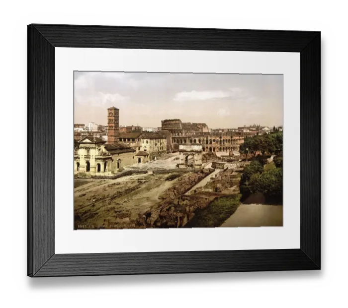 Framed Print : Roman Forum from the Palatine, Rome