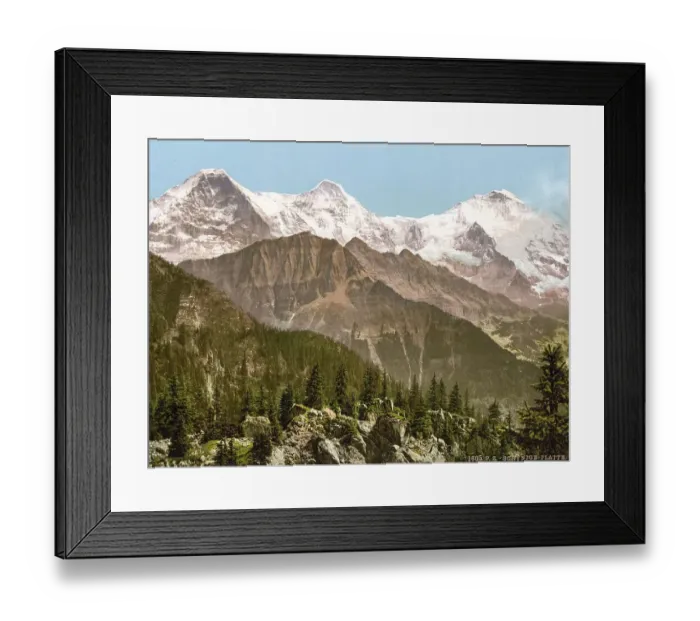 Framed Print : Schynige Platte, Eiger, Moench und Jungfrau Framed Print : Schynige Platte, Eiger, Moench und Jungfrau