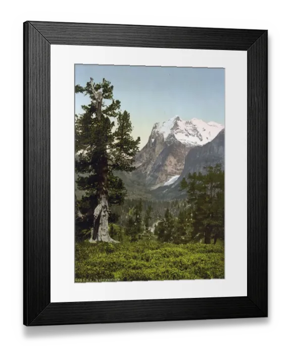 Framed Print : Wetterhorn, general view, Bernese Oberland