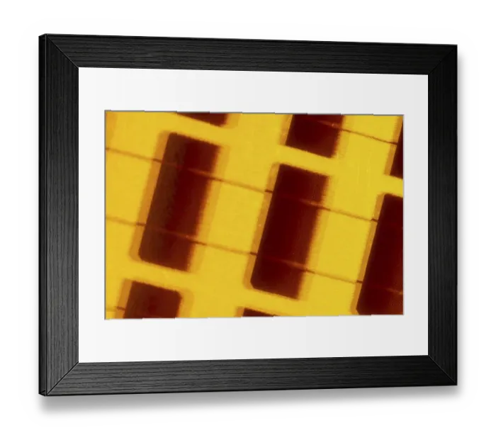 Framed Print : Solar cell on the solar tree in Ulm's Solar City residential district Framed Print : Solar cell on the solar tree in Ulm's Solar City residential district