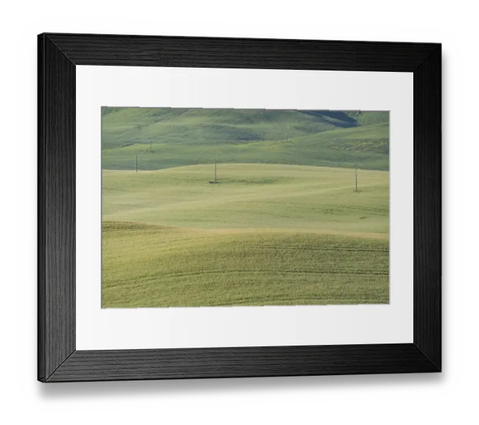 Framed Print : Landscape around San Quirico d'Orcia