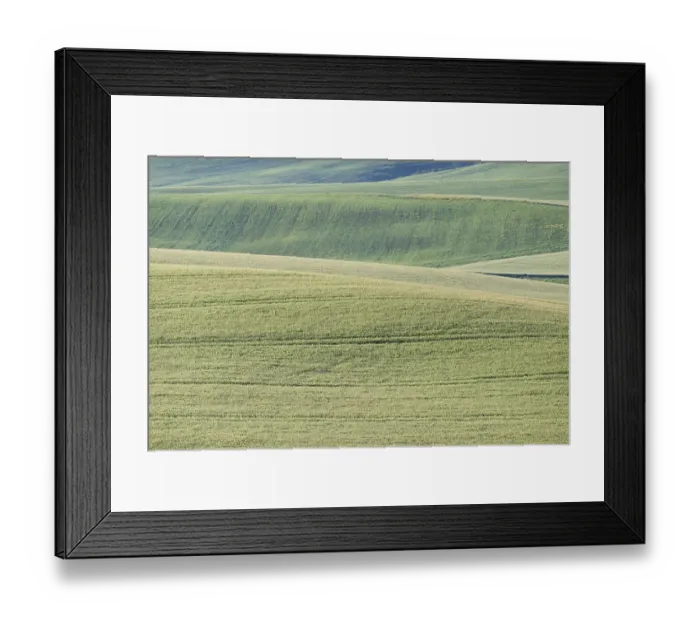 Framed Print : Landscape around Pienza, Val dOrcia