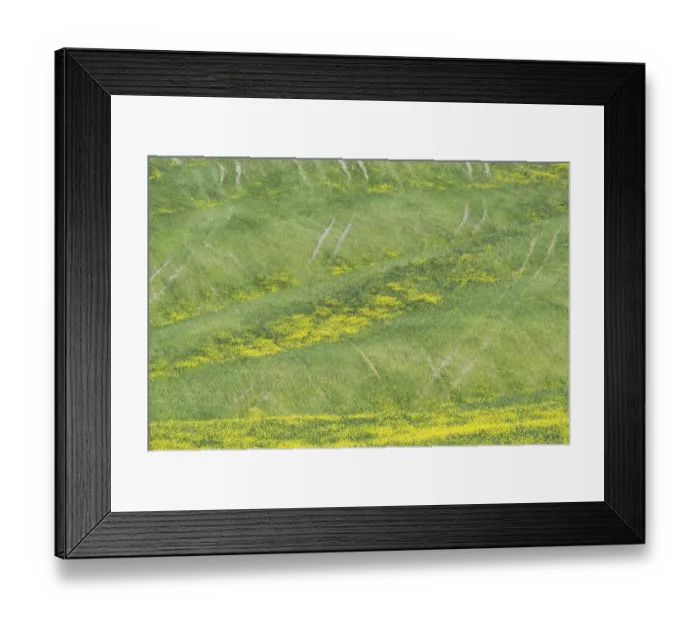 Framed Print : Landscape around Pienza, Val dOrcia