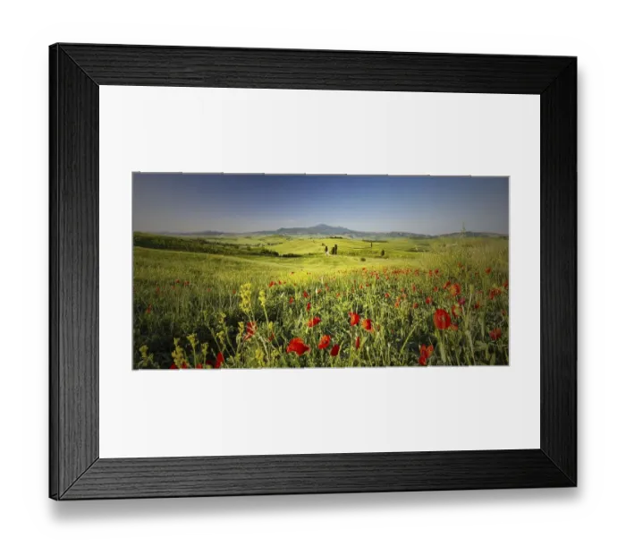 Framed Print : Landscape at sunrise around Pienza Framed Print : Landscape at sunrise around Pienza
