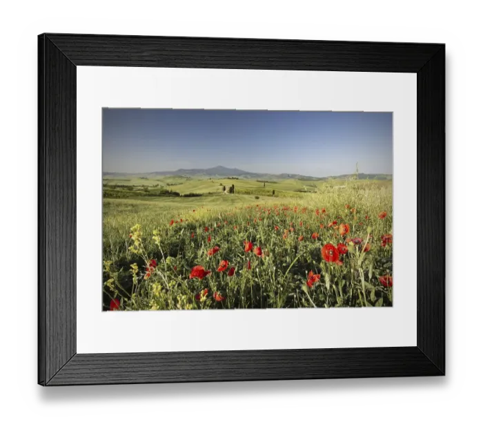 Framed Print : Landscape at sunrise around Pienza