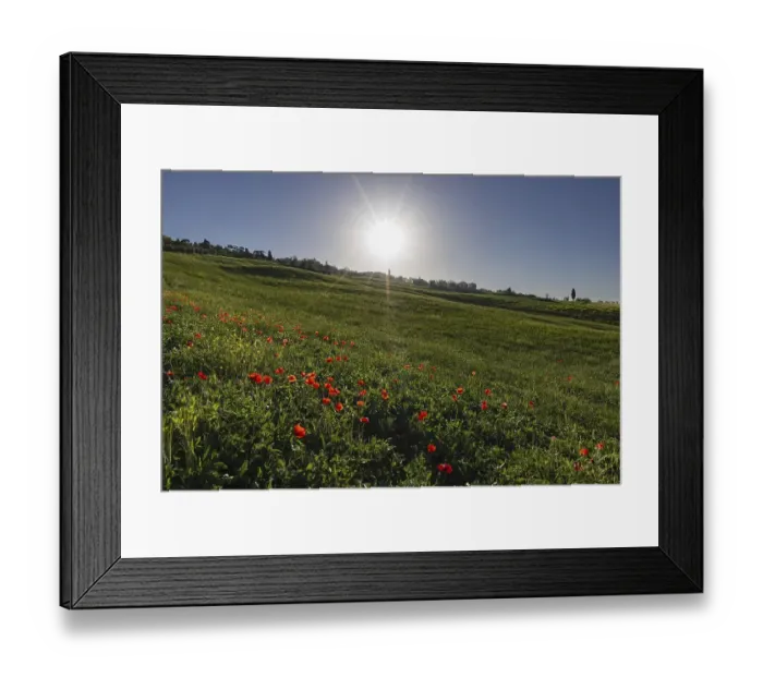 Framed Print : Landscape at sunrise around Pienza