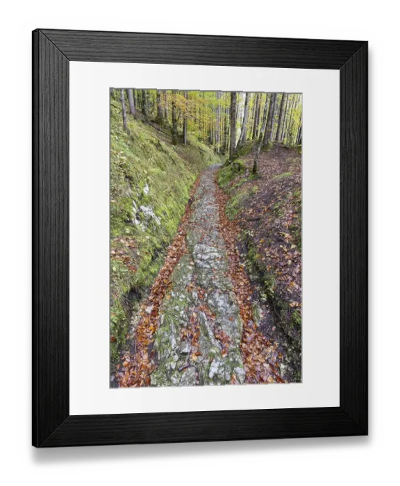 Framed Print : Celtic road, Roman road, Rottweg
