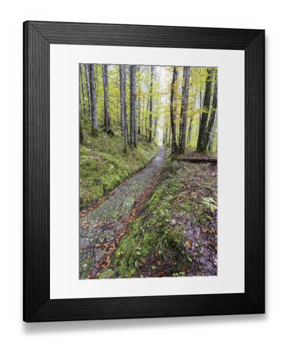 Framed Print : Celtic road, Roman road, Rottweg