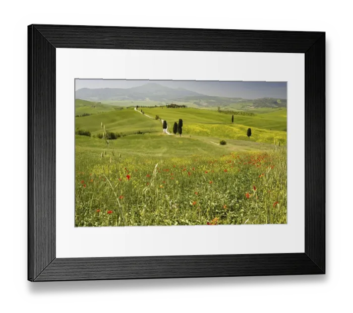 Framed Print : Landscape around Pienza, Val dOrcia