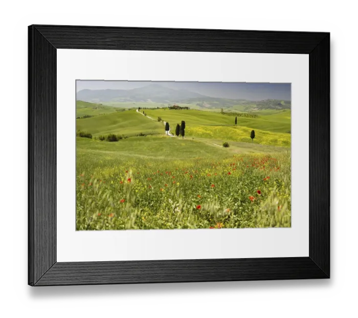 Framed Print : Landscape around Pienza, Val dOrcia Framed Print : Landscape around Pienza, Val dOrcia