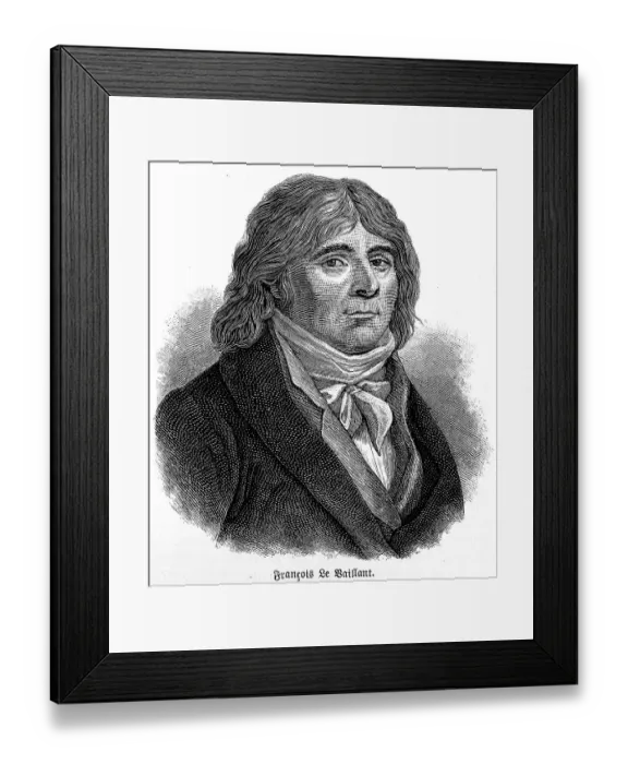 Framed Print : Francois Le Vaillant (1753 1824)