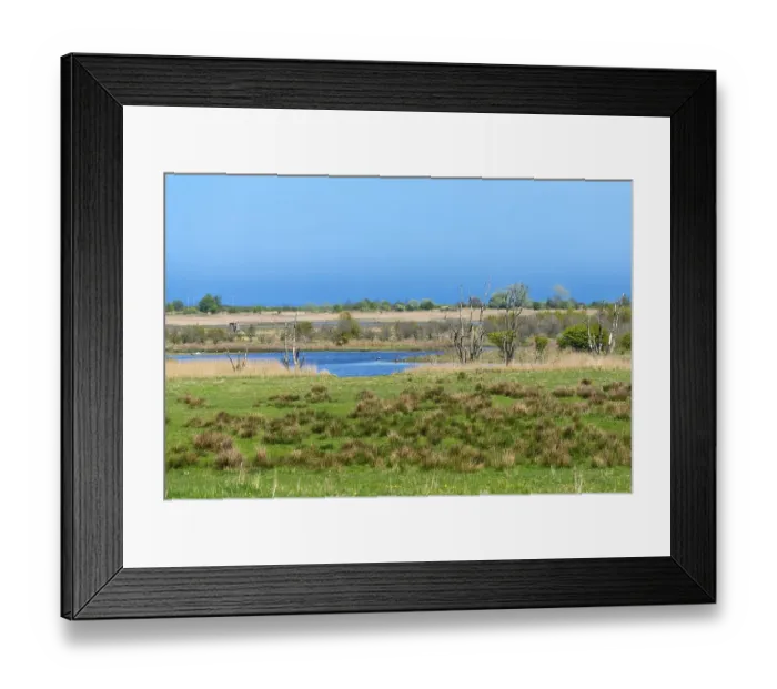 Framed Print : Nature reserve, NSG Geltinger Birk