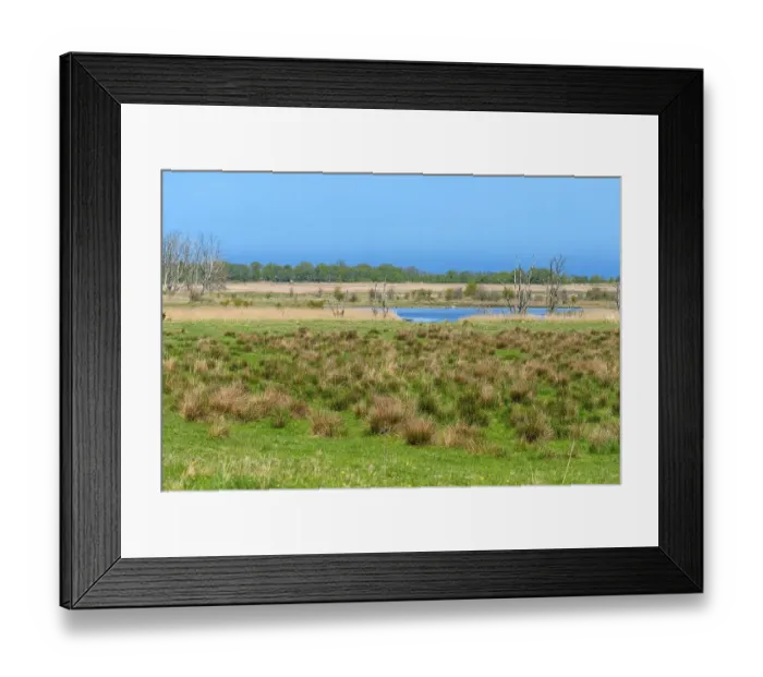 Framed Print : Nature reserve, NSG Geltinger Birk
