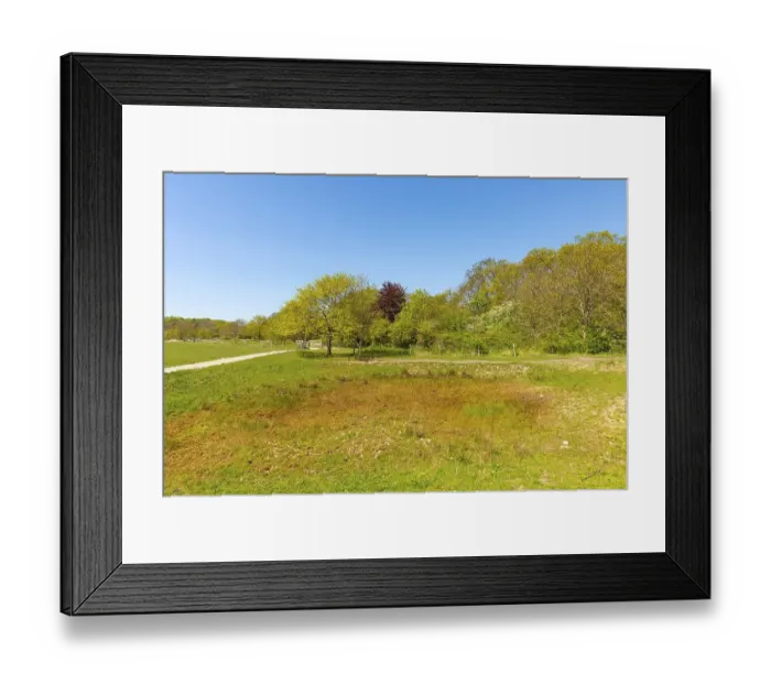 Framed Print : Nature reserve, NSG Geltinger Birk