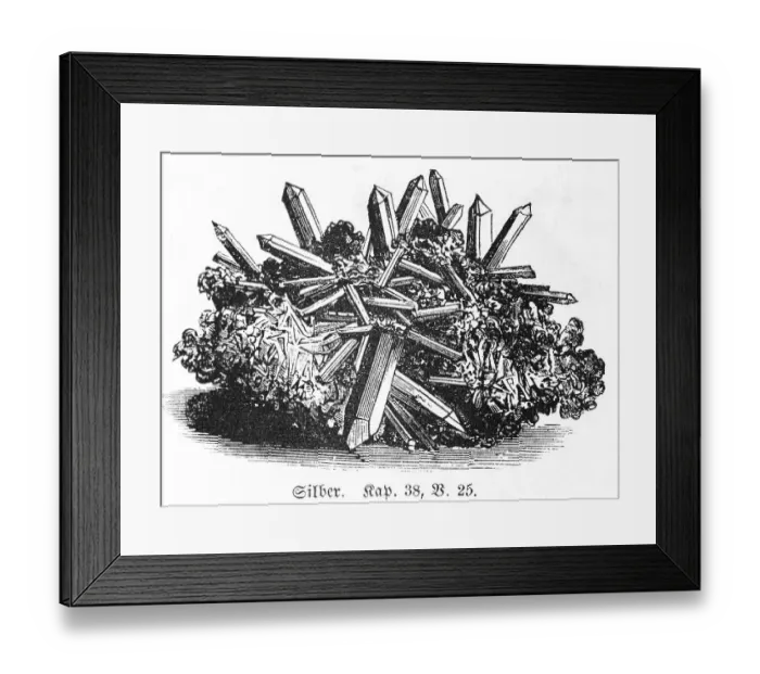 Framed Print : Silver, Bible, Old Testament, Genesis Framed Print : Silver, Bible, Old Testament, Genesis