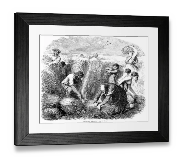 Framed Print : Reaper and earner, Book 3 of Moses