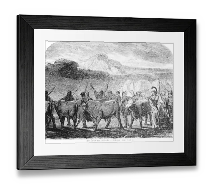 Framed Print : The sacrifices and the gifts of the princes Framed Print : The sacrifices and the gifts of the princes