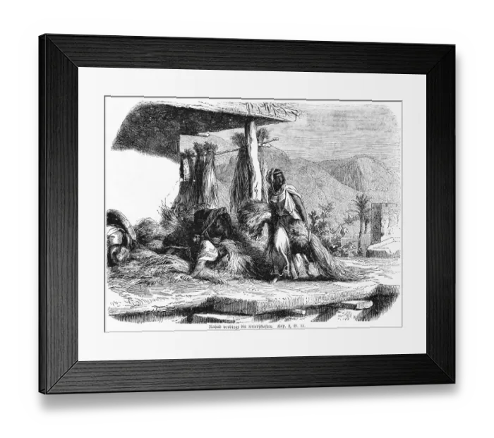 Framed Print : Rahab hides the scouts, hiding place Framed Print : Rahab hides the scouts, hiding place