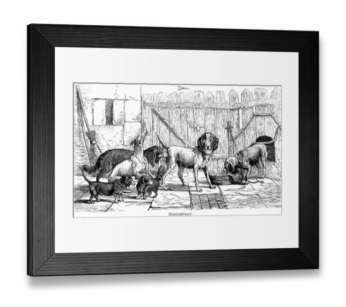 Framed Print : Dog kennel, different dog breeds Framed Print : Dog kennel, different dog breeds