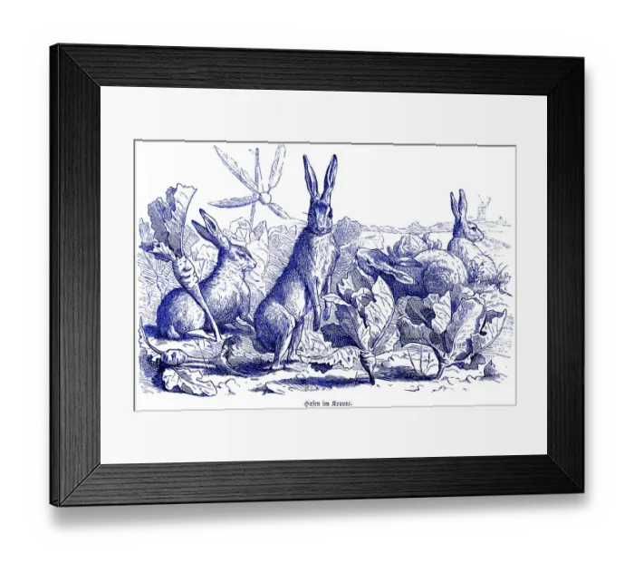 Framed Print : Three hares in the cabbage, Hubertus hunting and hunting scenes Framed Print : Three hares in the cabbage, Hubertus hunting and hunting scenes