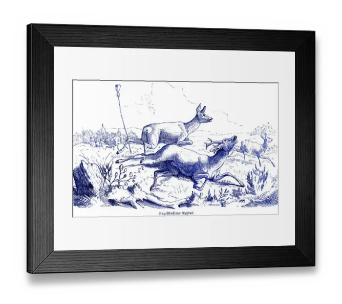 Framed Print : Shot roebuck, Hubertus hunting and hunting scenes Framed Print : Shot roebuck, Hubertus hunting and hunting scenes