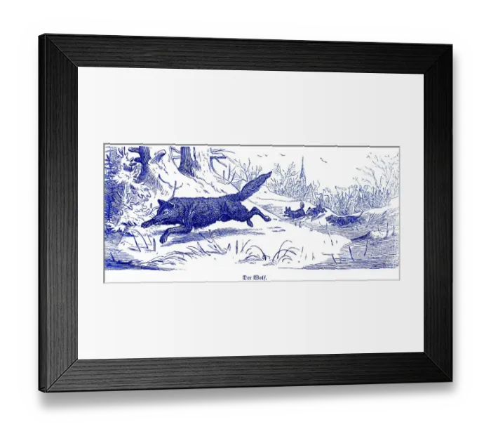 Framed Print : Gray wolf (Canis lupus), Hubertus hunting and hunting scenes