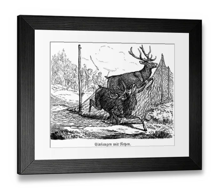 Framed Print : Caught with Nets, Deer, Hubertus Hunting and Hunting Scenes Framed Print : Caught with Nets, Deer, Hubertus Hunting and Hunting Scenes