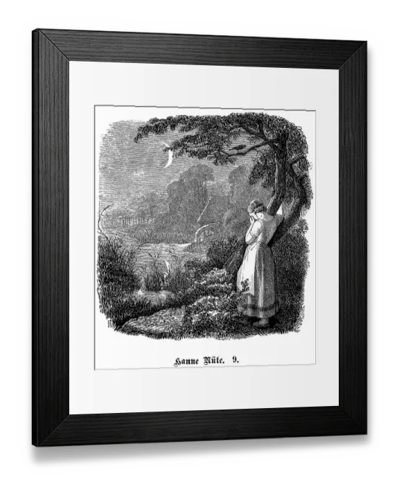 Framed Print : Fritz Reuter (1810) (1874) Low German writer and poet