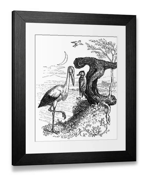 Framed Print : Fritz Reuter (1810) (1874) Low German writer and poet