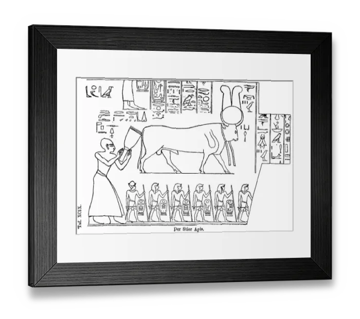 Framed Print : The sacred bull (Apis) of Memphis Framed Print : The sacred bull (Apis) of Memphis