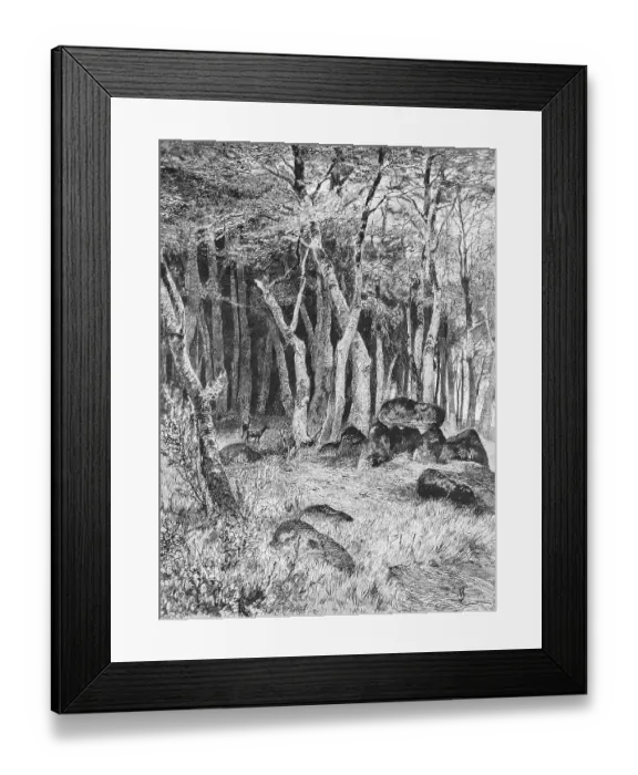 Framed Print : Hunebed on Ruegen, Baltic Sea island