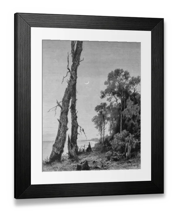 Framed Print : Landscape at the Baltic Sea near Zelenogradsk or Kranz