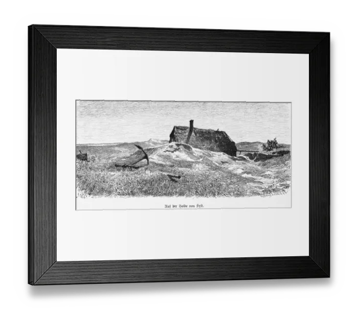 Framed Print : Heath on Sylt, North Frisia, Schleswig-Holstein Framed Print : Heath on Sylt, North Frisia, Schleswig-Holstein