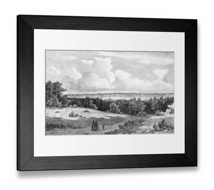 Framed Print : Fresh Spit near Krynica Morska or Kahlberg Framed Print : Fresh Spit near Krynica Morska or Kahlberg