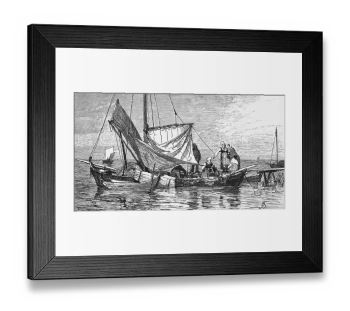 Framed Print : Sailing boats on the Curonian Lagoon Framed Print : Sailing boats on the Curonian Lagoon